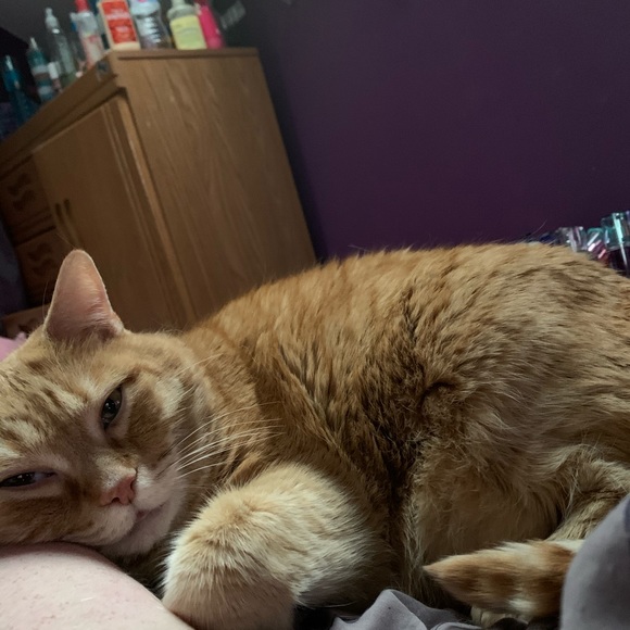 Meet your Posher, Krystal - Picture 4 of 7